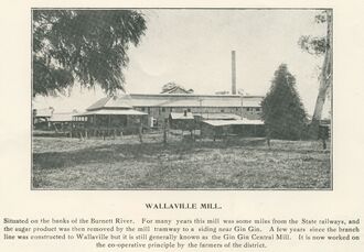 Gin Gin Mill. 1927.
