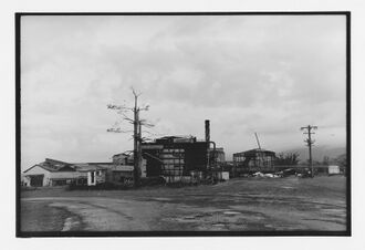 Babinda Mill as damaged by Cyclone Larry. 2006.